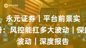 永元证券｜平台前景实用手册：风控能扛多大波动｜深度报告