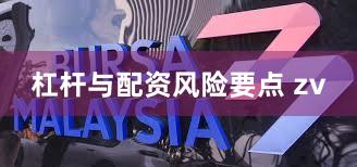 杠杆与配资风险要点 zv