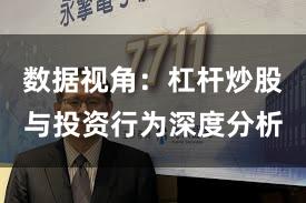 数据视角：杠杆炒股与投资行为深度分析