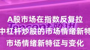 A股市场在指数反复拉锯阶段中中杠杆炒股的市场情绪新特征与变化